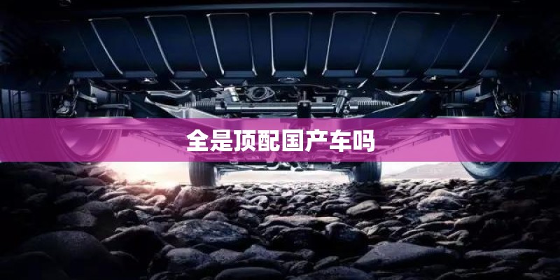 首乌详细资料大全