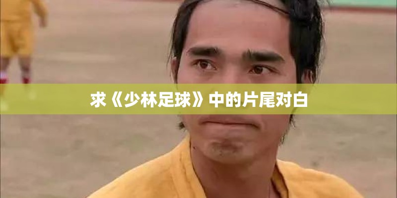 东阳的文化背景是什么-