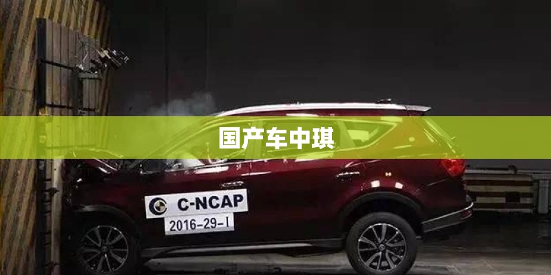 国产车中琪