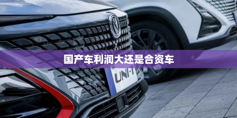国产车利润大还是合资车