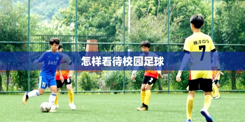 怎样看待校园足球