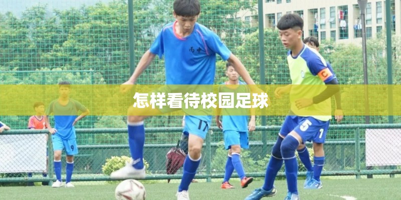怎样看待校园足球