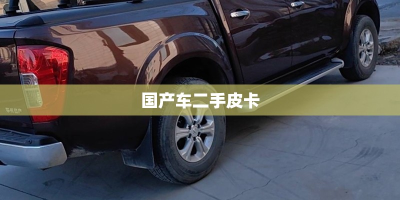 国产车二手皮卡