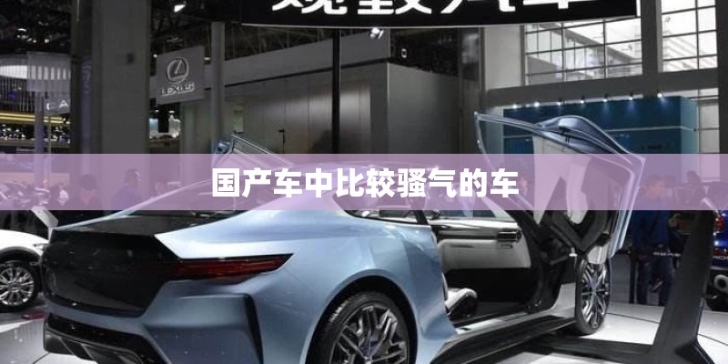 国产车中比较骚气的车