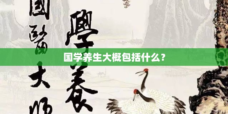 国学养生大概包括什么？