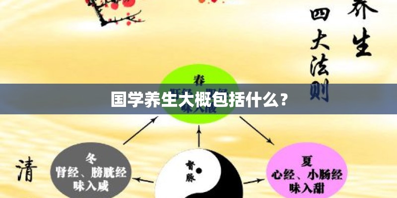 国学养生大概包括什么？