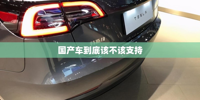 国产车到底该不该支持