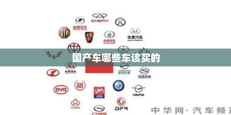 国产车哪些车该买的