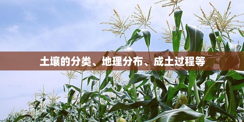 土壤的分类、地理分布、成土过程等