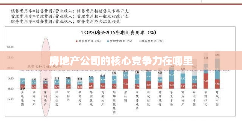 房地产公司的核心竞争力在哪里