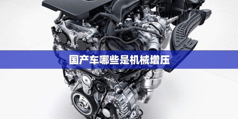 国产车哪些是机械增压