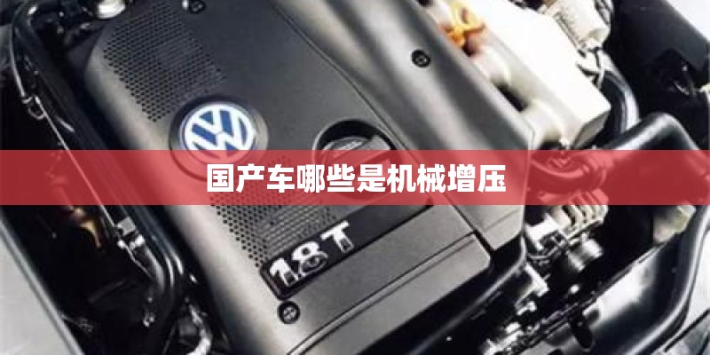 国产车哪些是机械增压