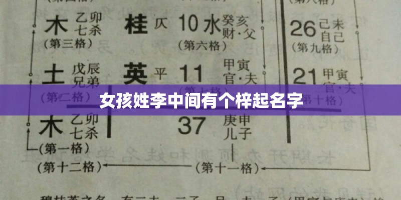 女孩姓李中间有个梓起名字