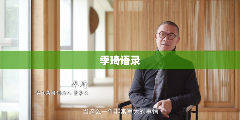 季琦语录