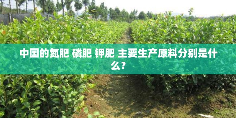 中国的氮肥 磷肥 钾肥 主要生产原料分别是什么？
