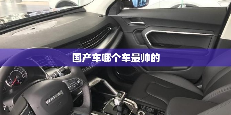 国产车哪个车最帅的