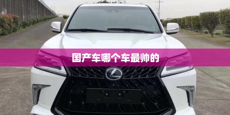 国产车哪个车最帅的