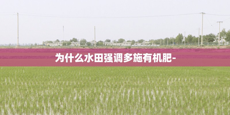为什么水田强调多施有机肥-