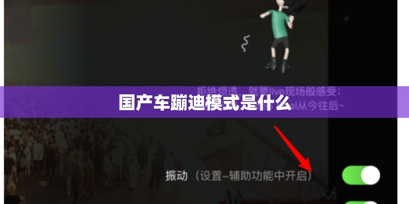 国产车蹦迪模式是什么