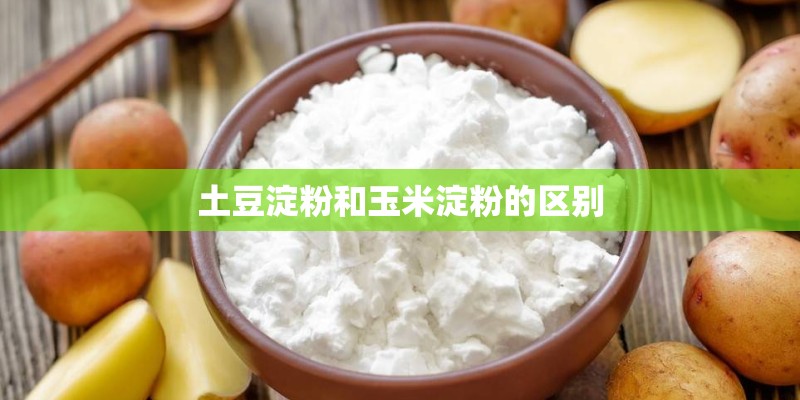 土豆淀粉和玉米淀粉的区别