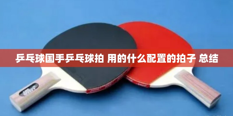 乒乓球国手乒乓球拍 用的什么配置的拍子 总结