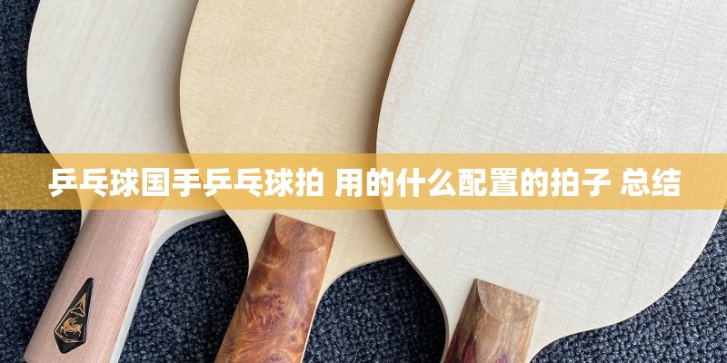 乒乓球国手乒乓球拍 用的什么配置的拍子 总结