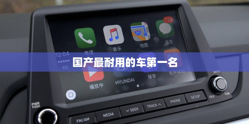 国产最耐用的车第一名