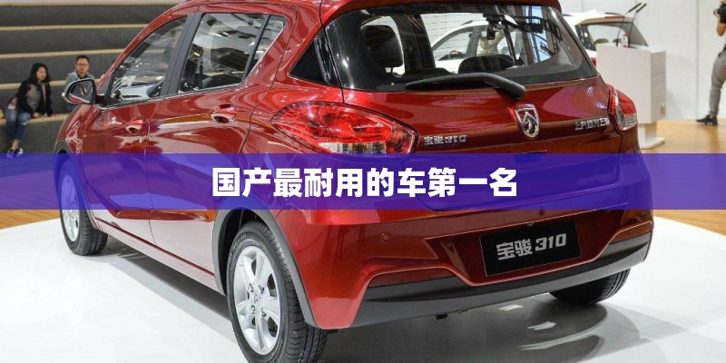 国产最耐用的车第一名