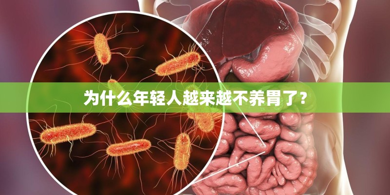 为什么年轻人越来越不养胃了？