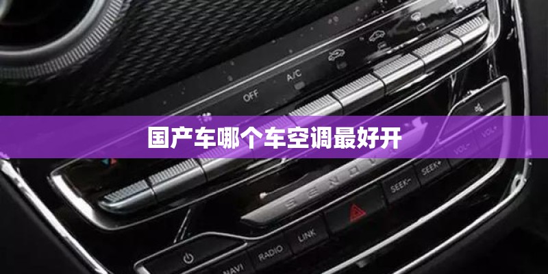 国产车哪个车空调最好开