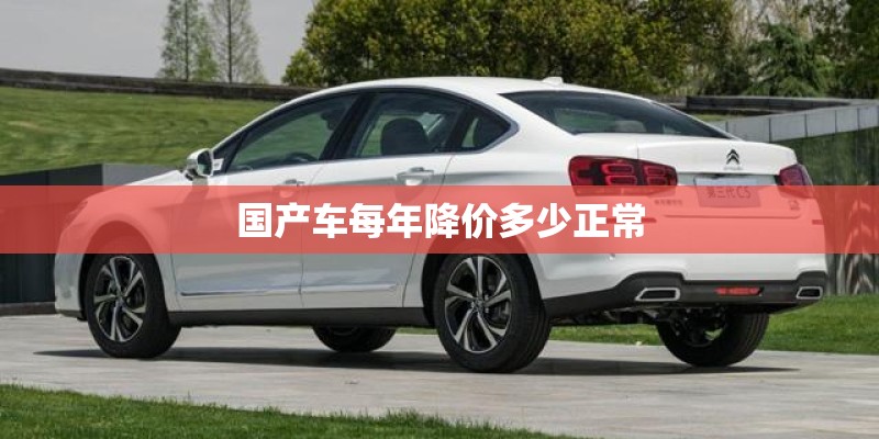 国产车每年降价多少正常