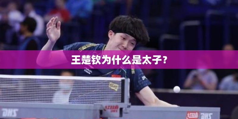 王楚钦为什么是太子？
