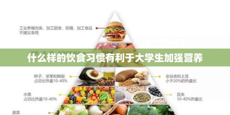 什么样的饮食习惯有利于大学生加强营养