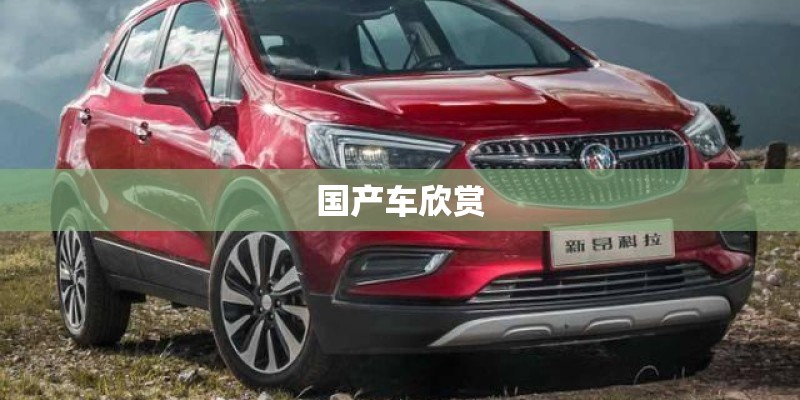 国产车欣赏