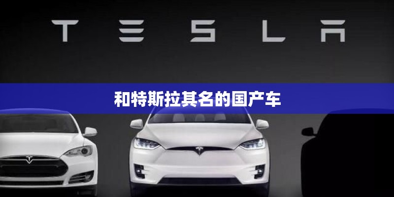和特斯拉其名的国产车