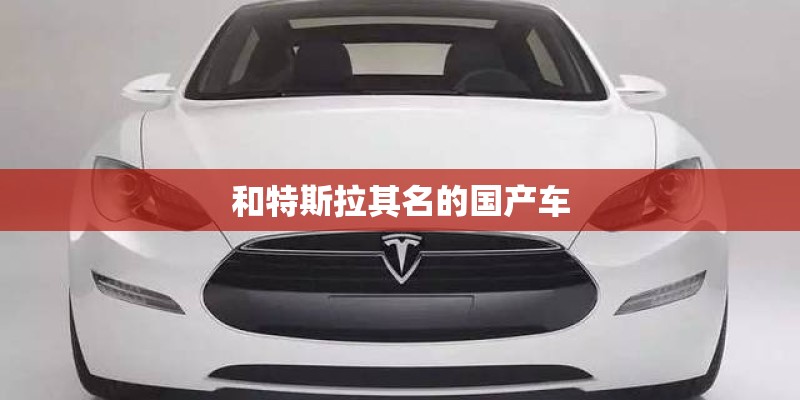 和特斯拉其名的国产车 和特斯拉其名的国产车
