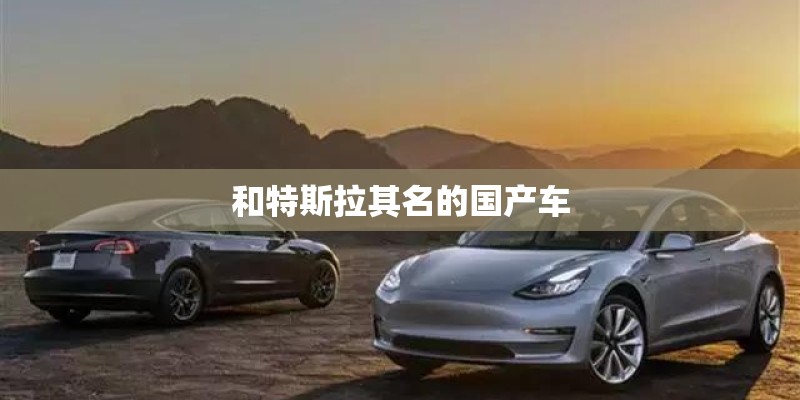 和特斯拉其名的国产车 和特斯拉其名的国产车