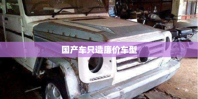 国产车只造廉价车型