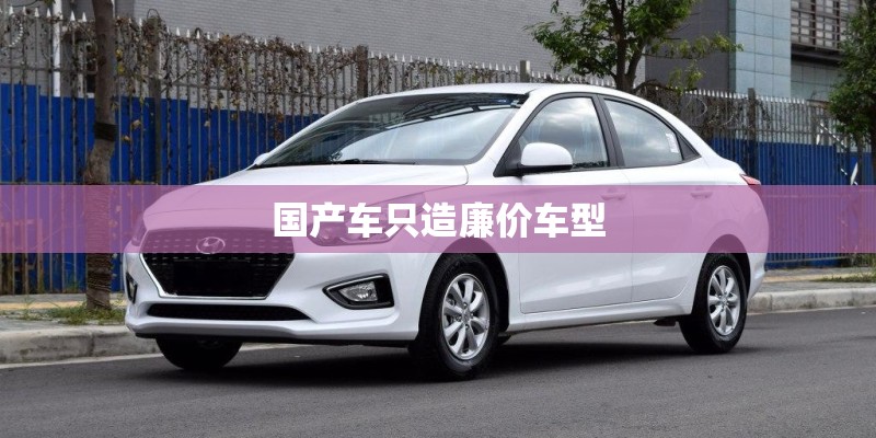 国产车只造廉价车型
