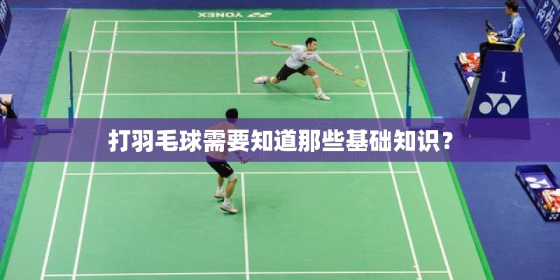 打羽毛球需要知道那些基础知识？
