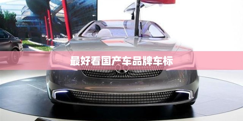 最好看国产车品牌车标 最好看国产车品牌车标