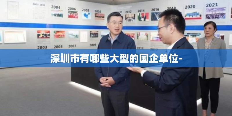 深圳市有哪些大型的国企单位-
