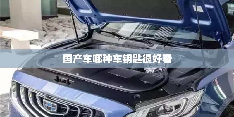 国产车哪种车钥匙很好看