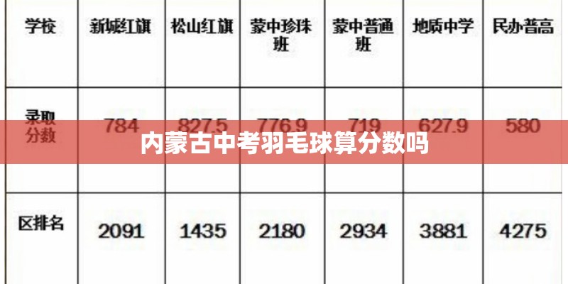 内蒙古中考羽毛球算分数吗 内蒙古中考羽毛球算分数吗