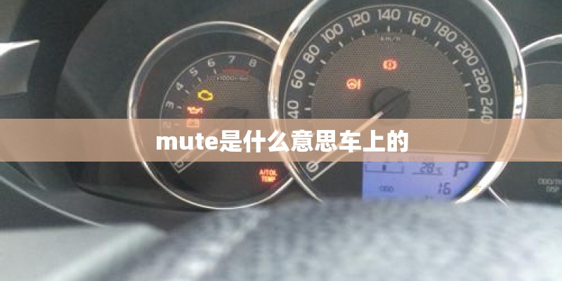mute是什么意思车上的
