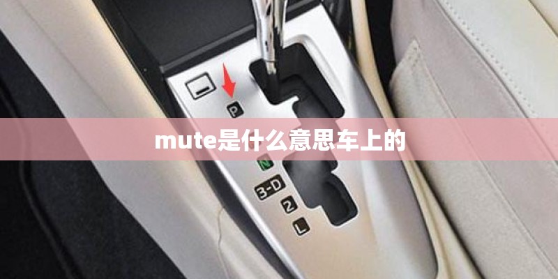 mute是什么意思车上的