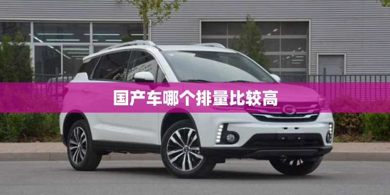 国产车哪个排量比较高 国产车哪个排量比较高
