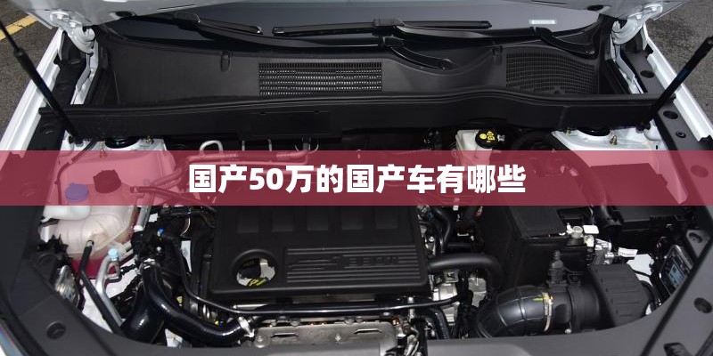 国产50万的国产车有哪些
