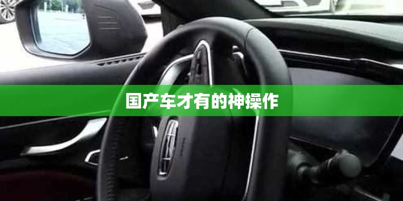 国产车才有的神操作