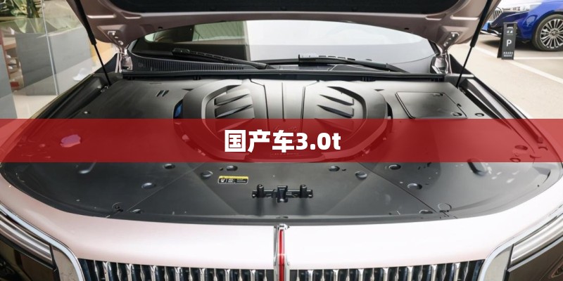 国产车3.0t
